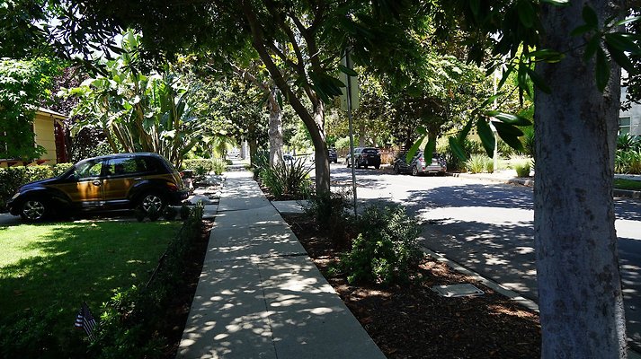 shr DSC01169 shr DSC01169