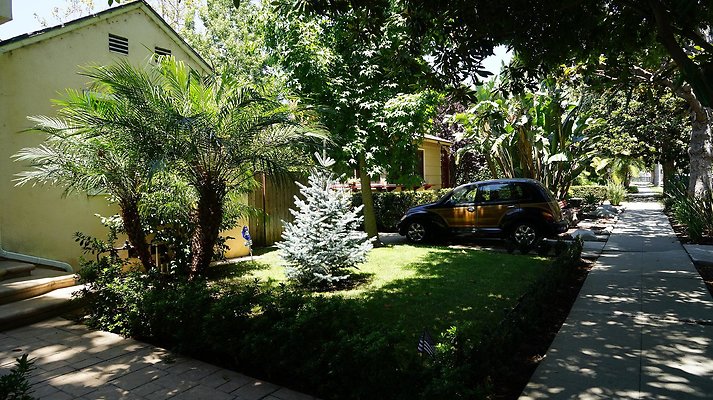 shr DSC01168 shr DSC01168