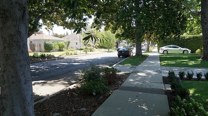 shr DSC01170 shr DSC01170