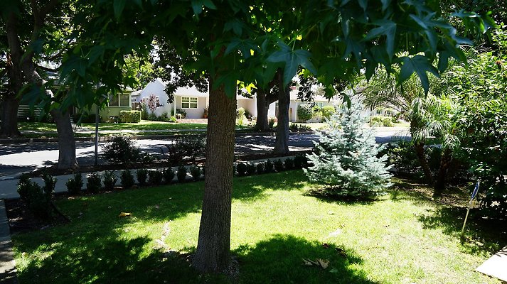 shr DSC01174 shr DSC01174