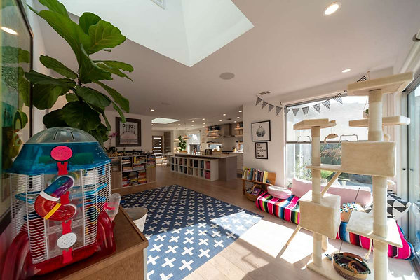 12596 den 1 12596 den 1