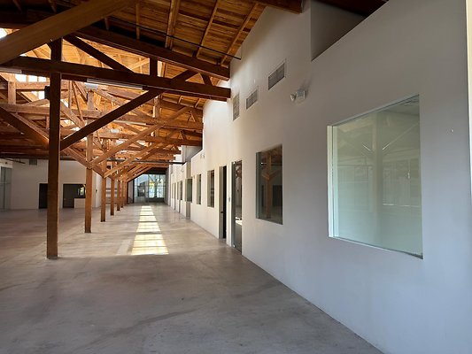 shr IMG 4737 shr IMG 4737