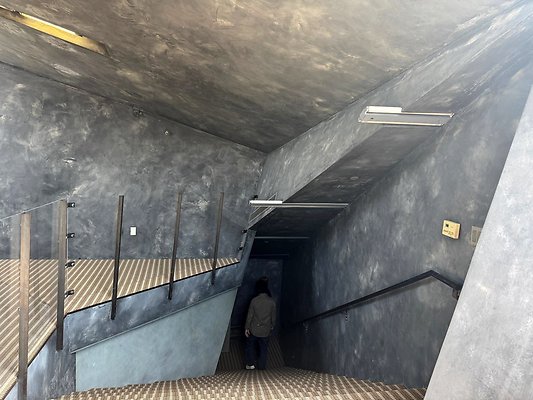 shr IMG 4706 shr IMG 4706