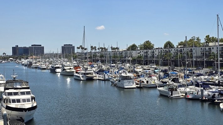 122238 (Small) 122238 (Small)