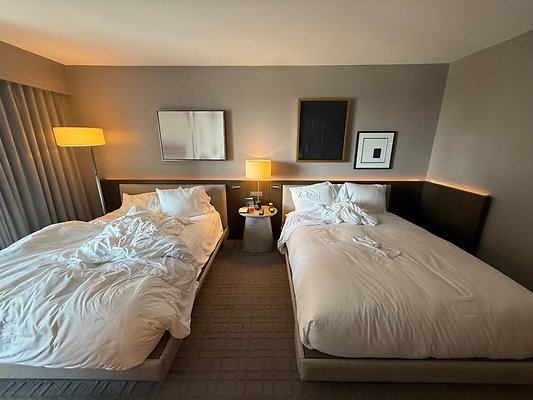 th IMG 2300 th IMG 2300