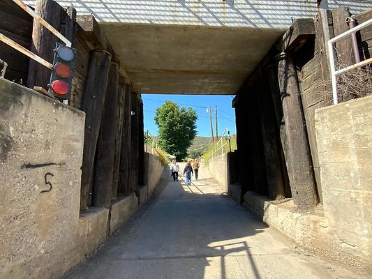 IMG 0795