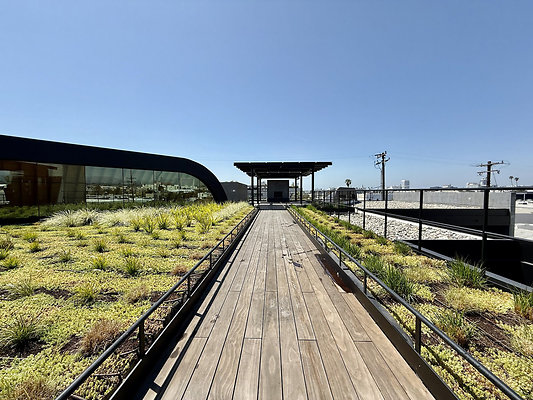 UNIVERSAL-CW465-SM-156 UNIVERSAL-CW465-SM-156