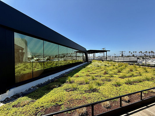 UNIVERSAL-CW465-SM-159 UNIVERSAL-CW465-SM-159