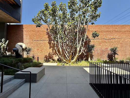 UNIVERSAL-CW465-SM-33