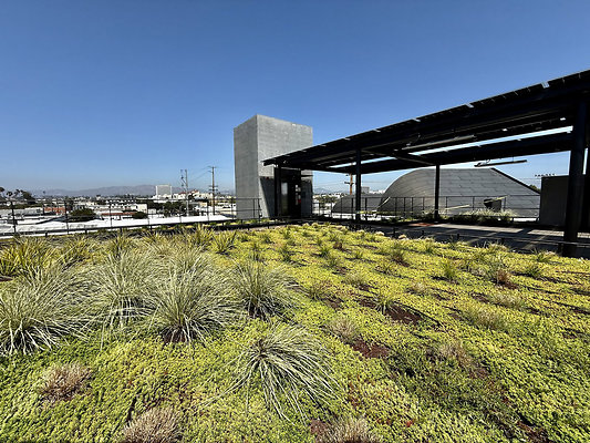 UNIVERSAL-CW465-SM-163 UNIVERSAL-CW465-SM-163