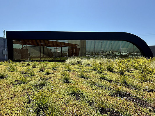 UNIVERSAL-CW465-SM-6