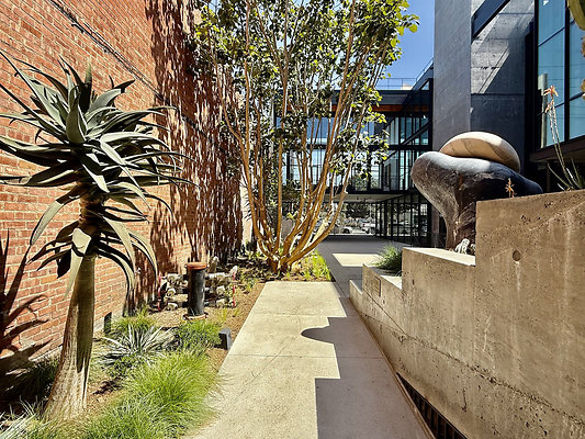 UNIVERSAL-CW465-SM-31