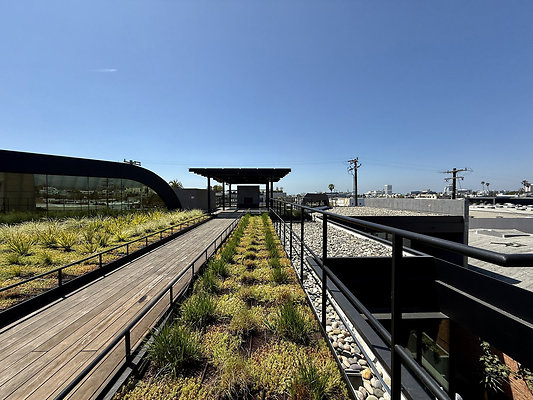 UNIVERSAL-CW465-SM-165 UNIVERSAL-CW465-SM-165