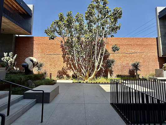 UNIVERSAL-CW465-SM-26