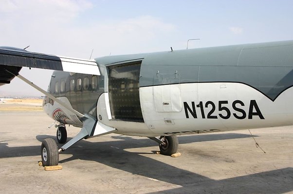 Shark from rear-closer