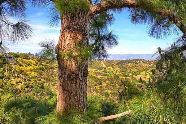 8gdscn 003 8gdscn 003