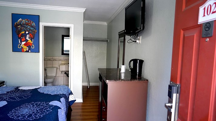 shr DSC01236 shr DSC01236