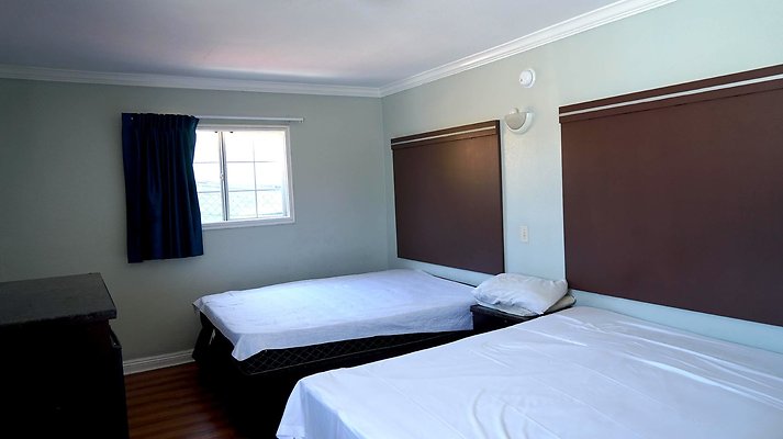 shr DSC01264 shr DSC01264