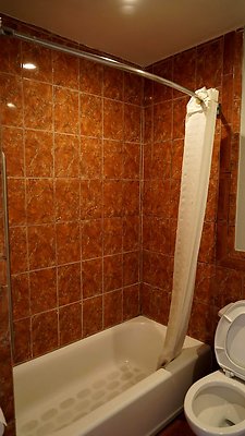 shr DSC01270 shr DSC01270