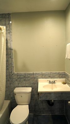 shr DSC01261 shr DSC01261