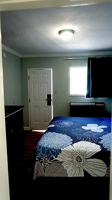 shr DSC01250 shr DSC01250