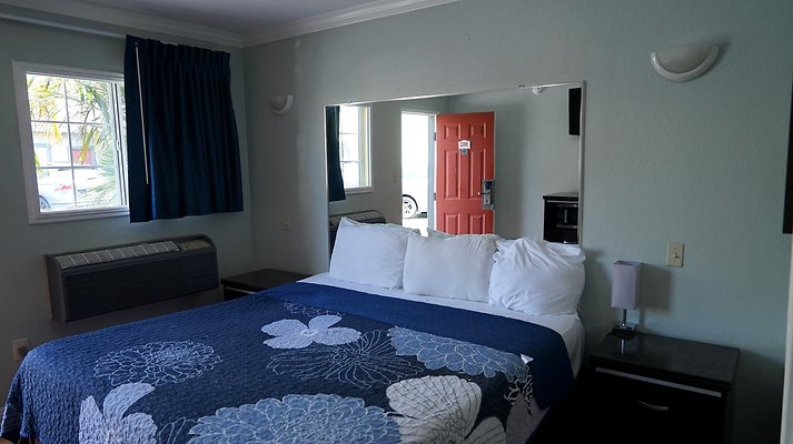 shr DSC01239 shr DSC01239