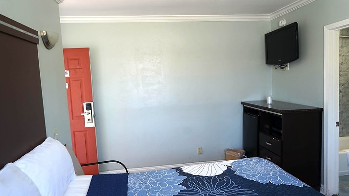 shr DSC01256 shr DSC01256