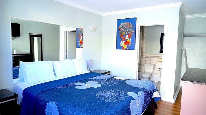 shr DSC01235 shr DSC01235