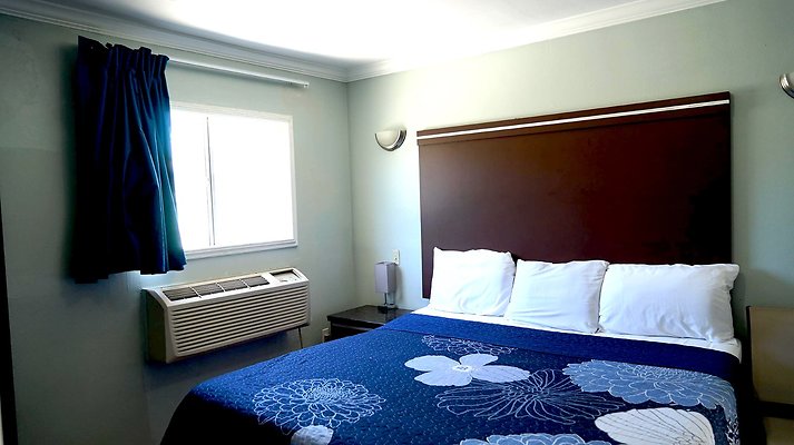 shr DSC01259 shr DSC01259