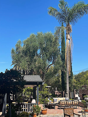 3857 patio 17 3857 patio 17