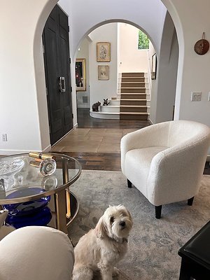 3E9CFDD4-BC16-475F-8AC6-ABEBB2AD6799  3E9CFDD4-BC16-475F-8AC6-ABEBB2AD6799