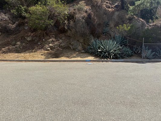 th IMG 2992 th IMG 2992