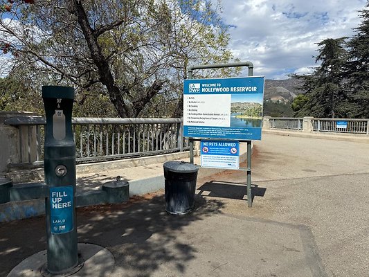 th IMG 2993 th IMG 2993