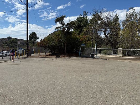 th IMG 2987 th IMG 2987