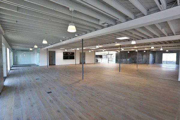 CapEquityCEL114313 CapEquityCEL114313