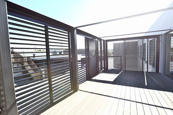 CapEquityCEL114338 CapEquityCEL114338