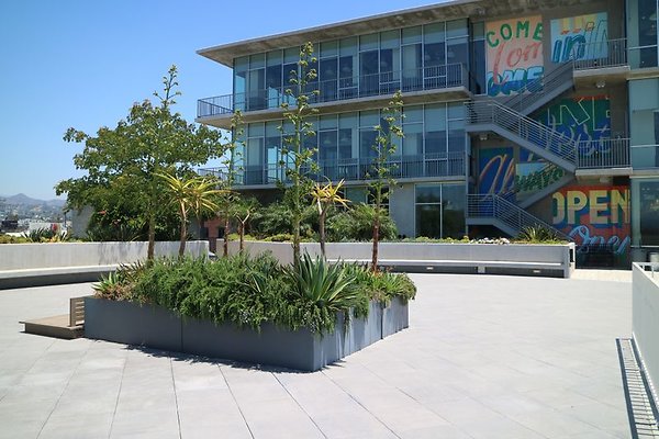 CapEquity 1463 Hollywood