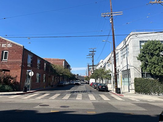 Palmetto &amp; Molino