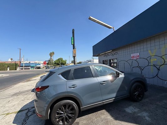 th IMG 3397 th IMG 3397