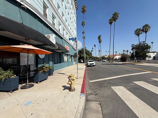 th IMG 3378 th IMG 3378