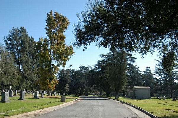 mountainview altadena