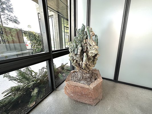 WESTSIDE LOCATIONS  31