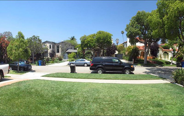 8317 reverse 1 8317 reverse 1