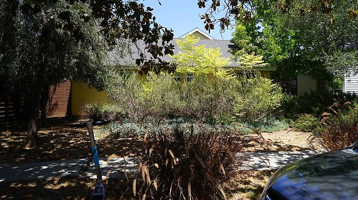 shr DSC01207 shr DSC01207