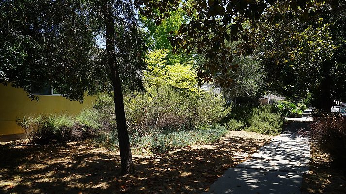 shr DSC01203 shr DSC01203