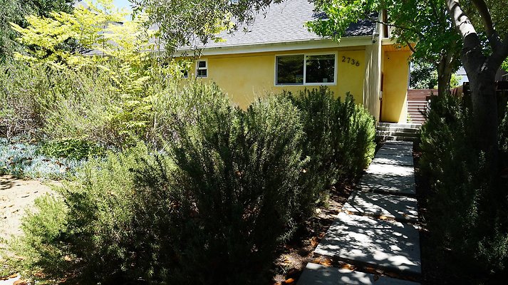 shr DSC01199 shr DSC01199