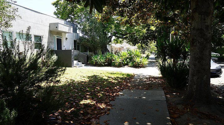 shr DSC01201 shr DSC01201