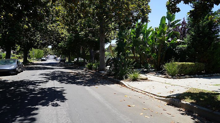 shr DSC01210 shr DSC01210