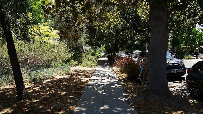 shr DSC01204 shr DSC01204