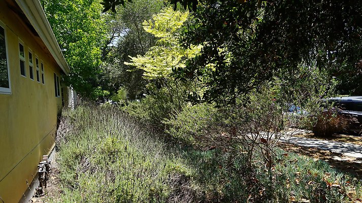 shr DSC01205 shr DSC01205